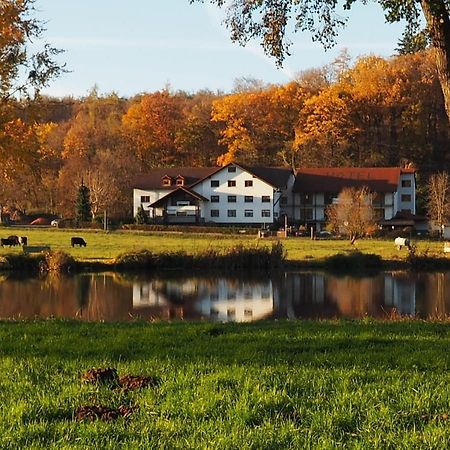 Landgasthof Rotlipp Gaestezimmer Ortenberg  Exterior foto