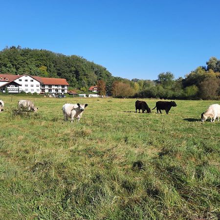 Landgasthof Rotlipp Gaestezimmer Ortenberg  Exterior foto