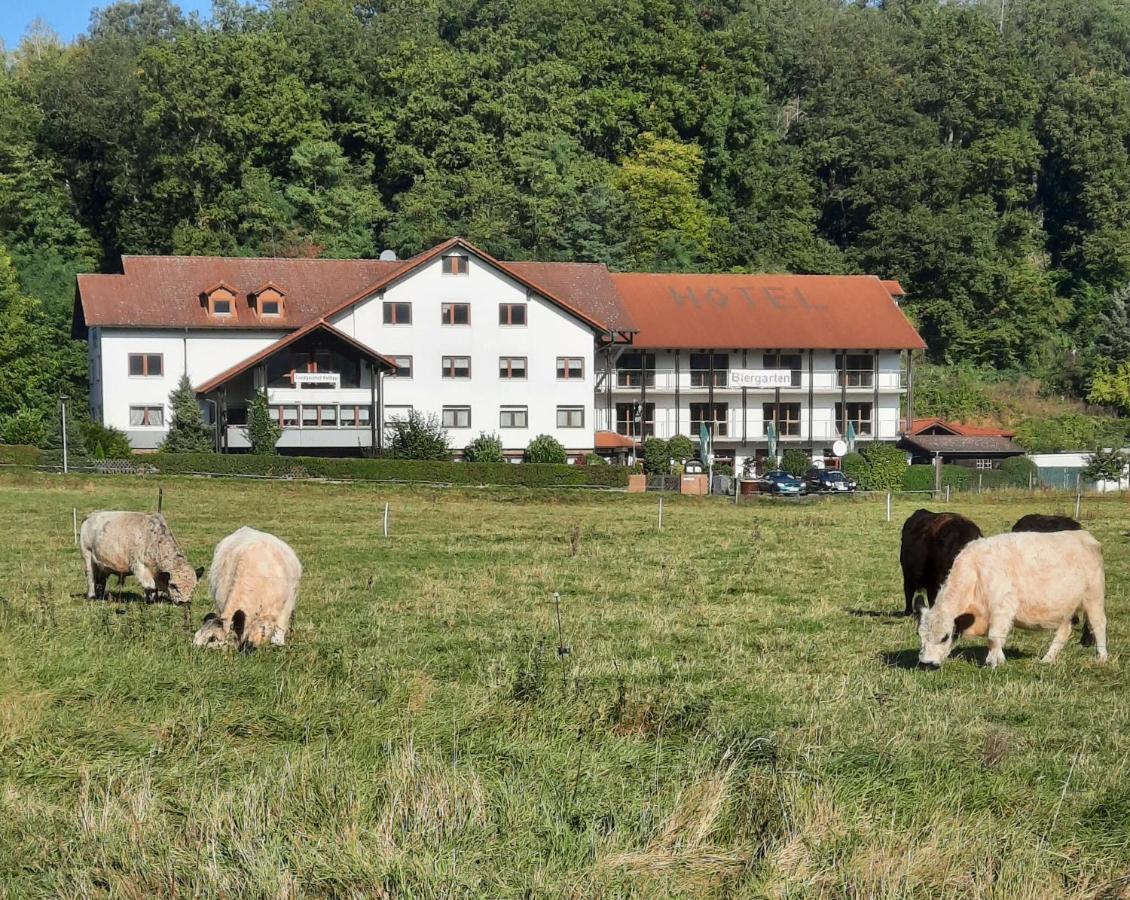 Landgasthof Rotlipp Gaestezimmer Ortenberg  Exterior foto
