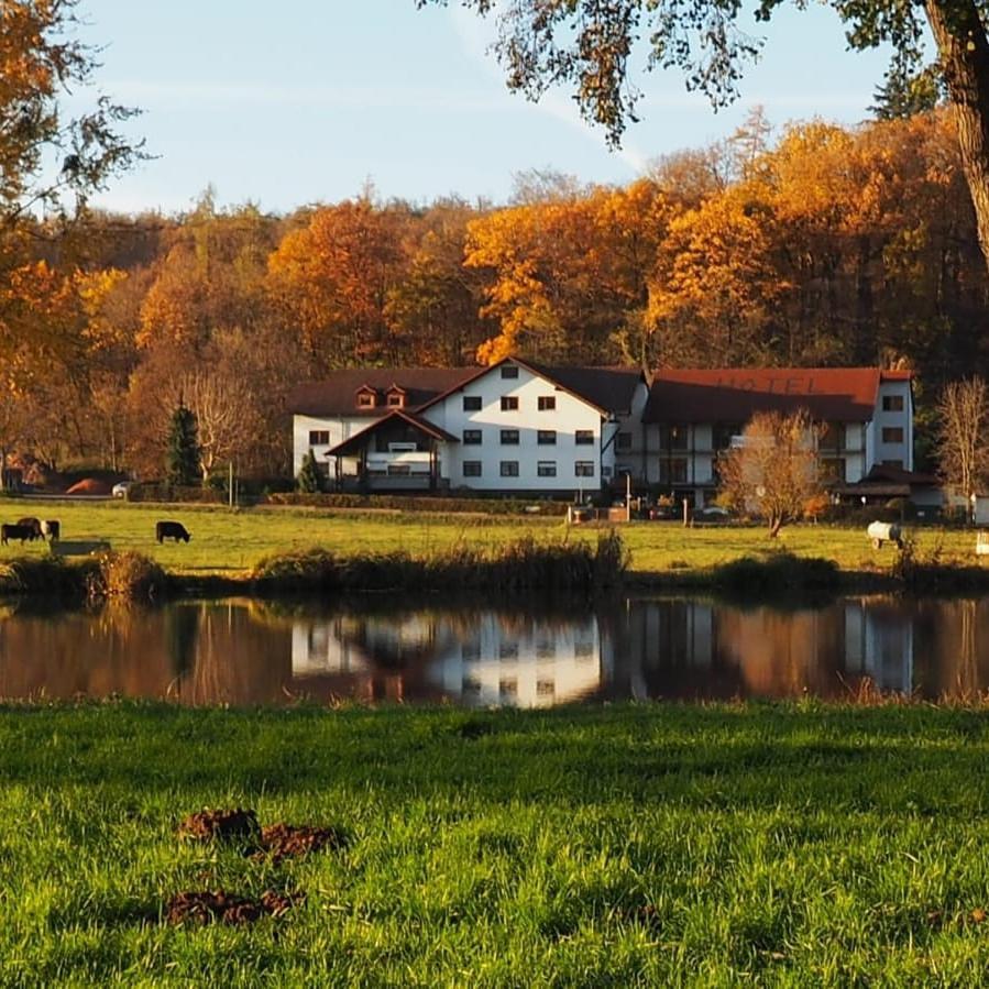 Landgasthof Rotlipp Gaestezimmer Ortenberg  Exterior foto
